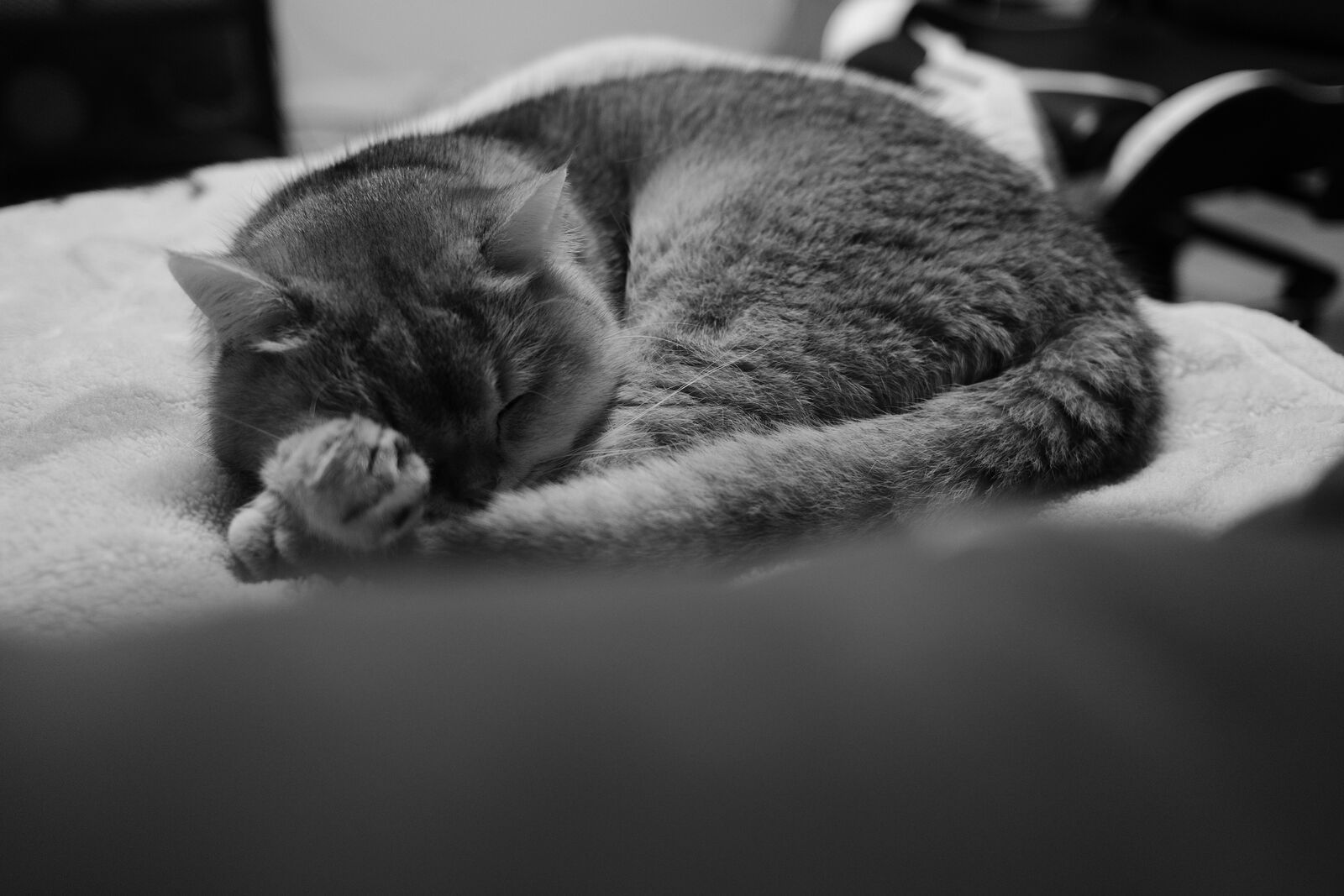 bw7