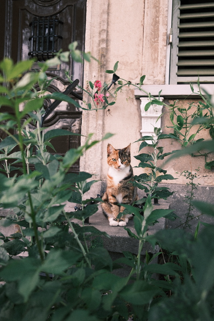 summer-days-18